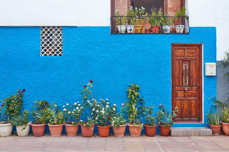 Picturesque blue and white traditional building facade decorated with plants